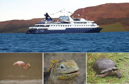 Celebrity_Xpedition_Galapagos